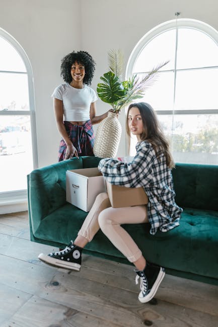 A young woman with long brown hair wearing a plaid shirt, light pink pants, and black and white sneakers sits on a green sofa inside a bright room with large arched windows, holding a cardboard box on her lap. An African-American woman with curly black hair, dressed in a white t-shirt and a plaid skirt, stands nearby holding a large potted plant with broad green leaves. The scene includes packing materials, with a white cardboard box on the sofa and another open box in the woman’s lap, suggesting a home relocation process. The natural daylight streaming through the windows illuminates the room, which features wooden flooring and minimal decor, indicating the early stages of a moving or packing activity. This setting captures a moment of furniture transport and packing during house removals, consistent with the services provided by Kingston Movers.